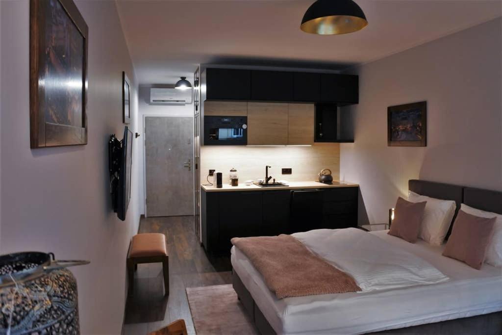 Boutique 109 - Old City, Luxury Apt. With A Garage Краків Екстер'єр фото